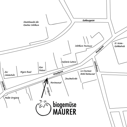 Markt in Solothurn von Biogemüse Maurer