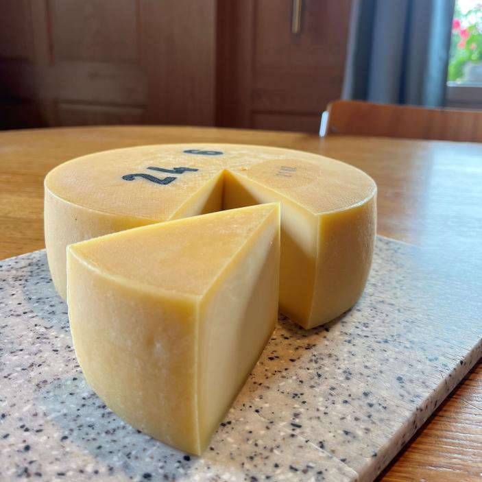 Alpkäse Schiltenegg Mutschli