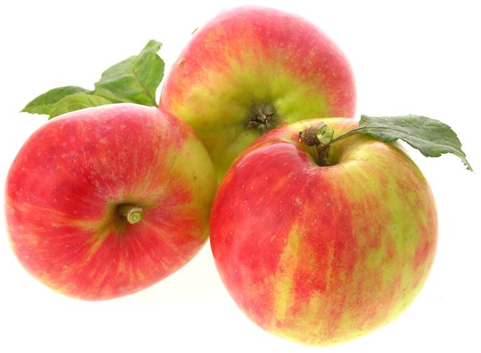 Äpfel Gravensteiner
