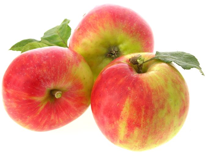 Äpfel Gravensteiner