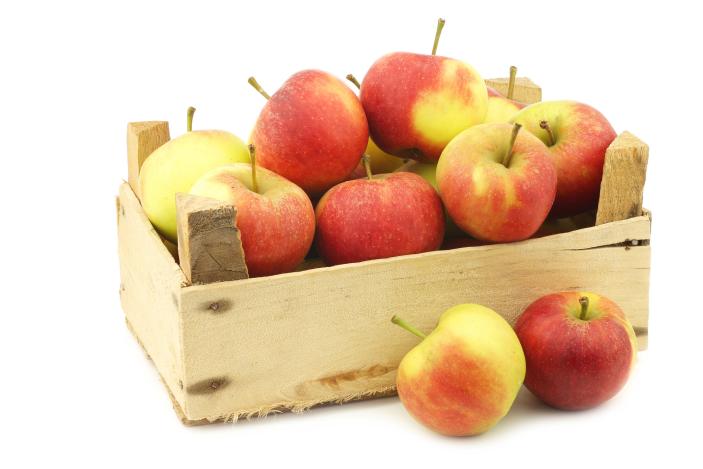 Äpfel Topaz 5 kg (Lagerware)