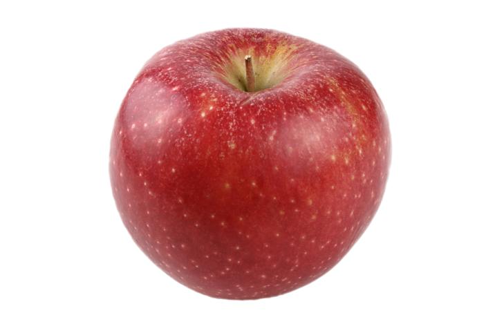Äpfel Rustica