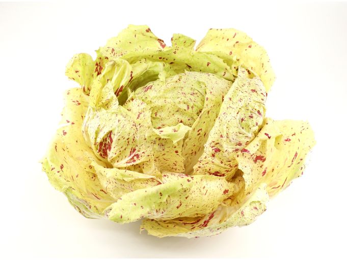 Castelfranco