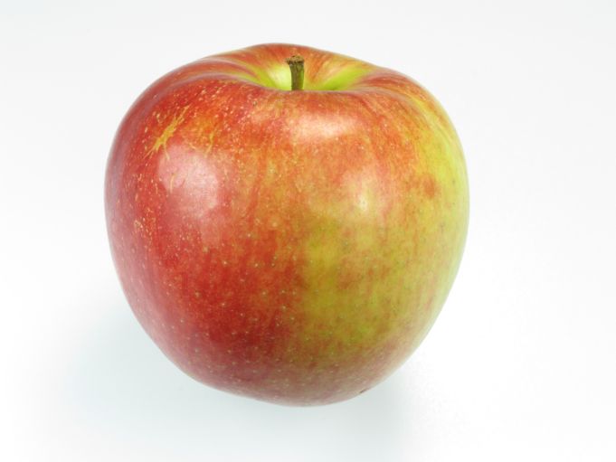Apfel Delbar
