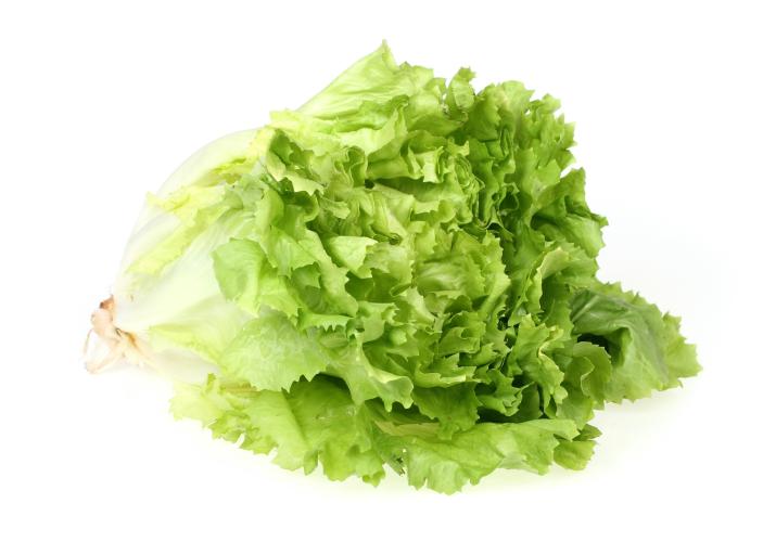 Endivien