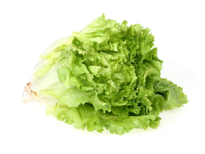 Endivien
