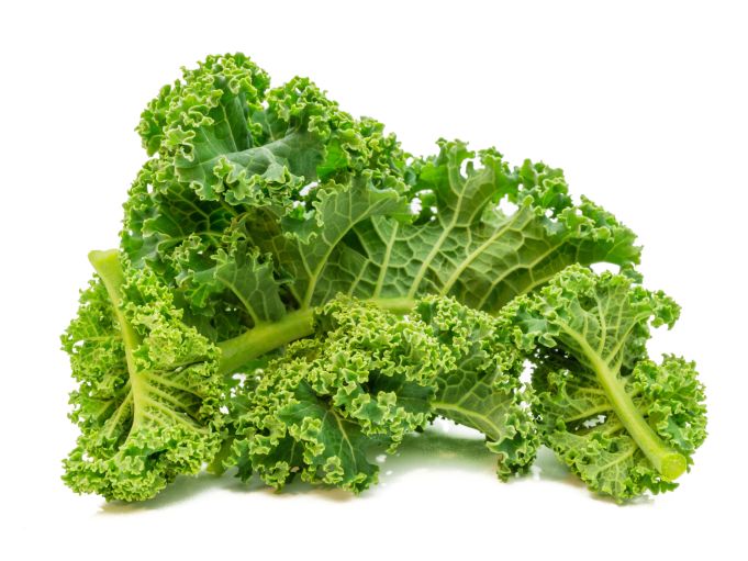 Federkohl
