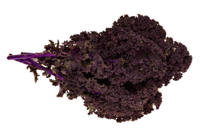 Federkohl rot