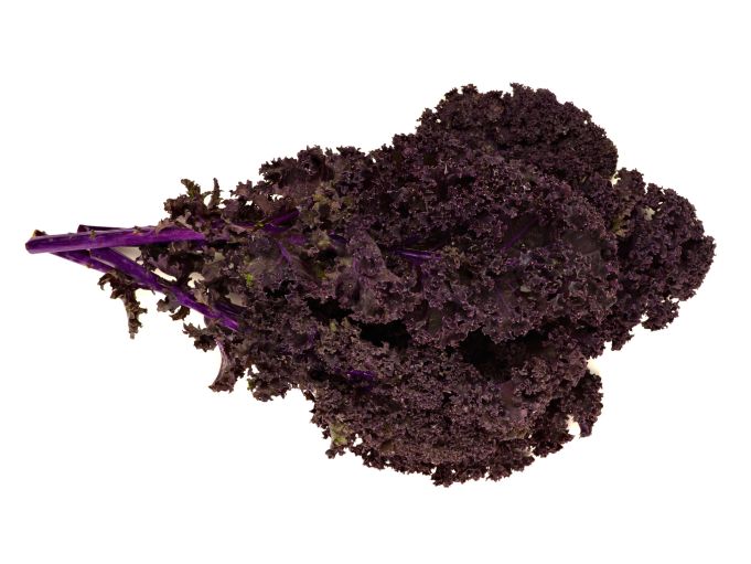 Federkohl rot