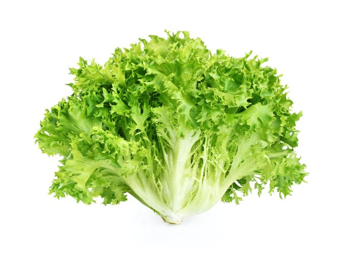 Frisée