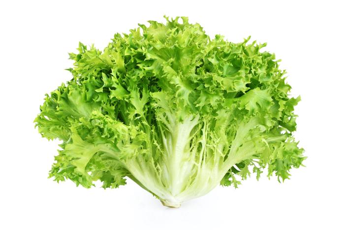 Frisée