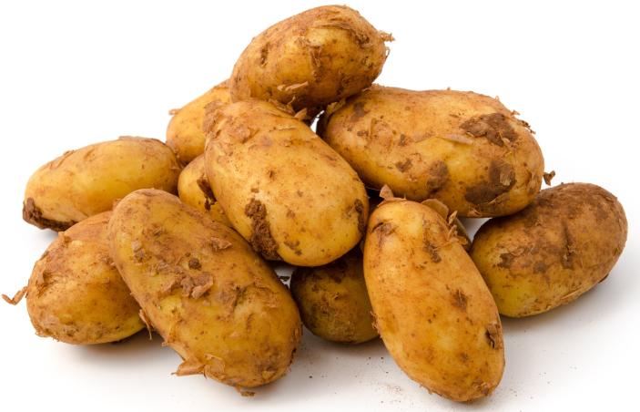 Frühkartoffeln ungewaschen