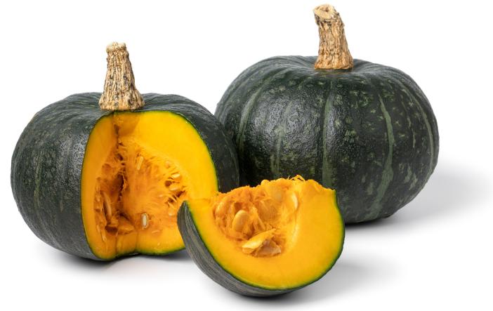 Kürbis Kabocha grün