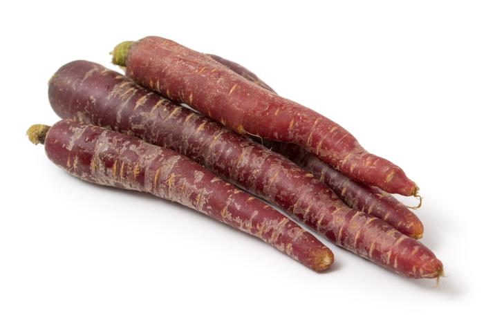 Karotten violett gew.