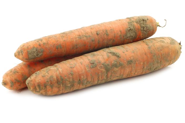 Karotten ungew. 10 kg (Lagerware)