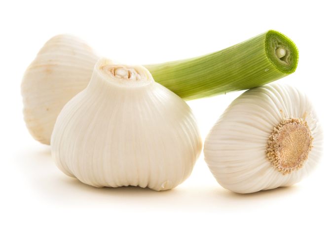 Knoblauch frisch