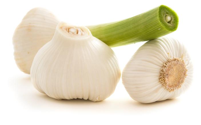 Knoblauch frisch
