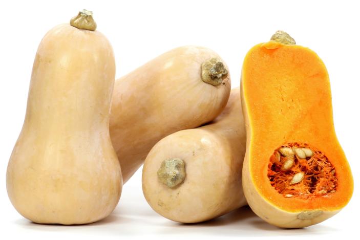 Kürbis Butternuss
