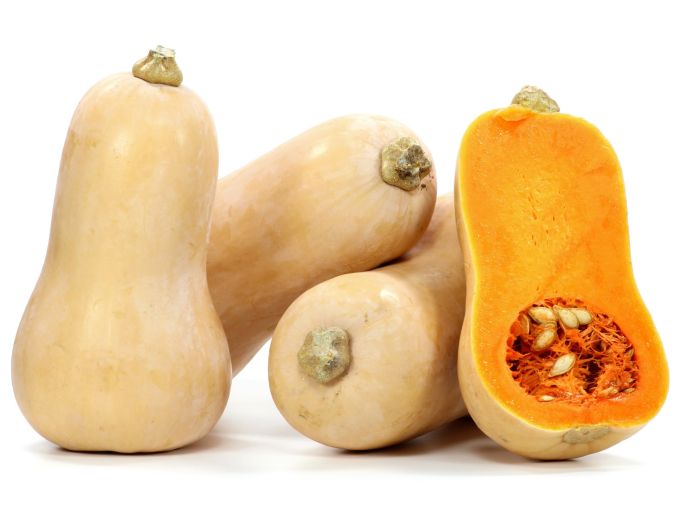 Kürbis Butternuss