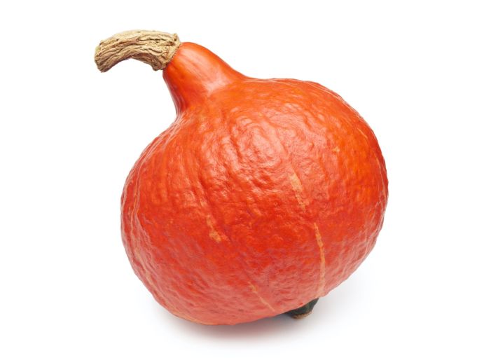 Kürbis Knirps