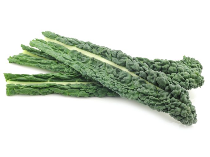 Palmkohl