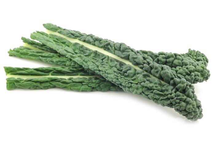 Palmkohl
