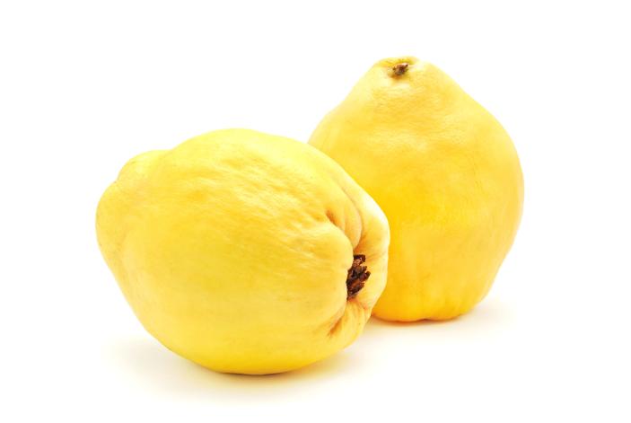 Quitten