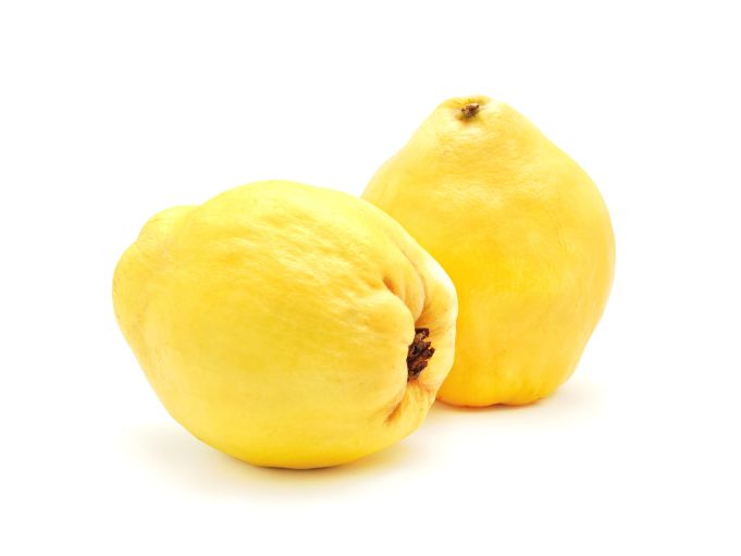Quitten