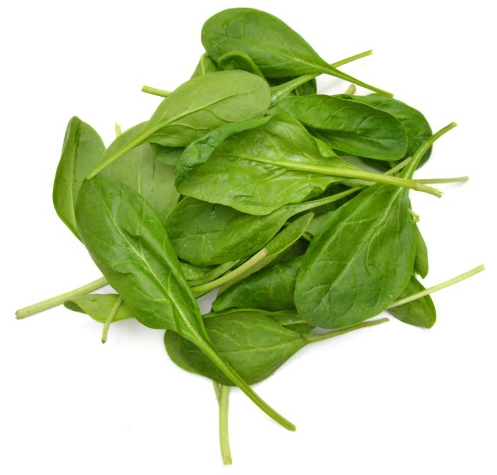 Salatspinat