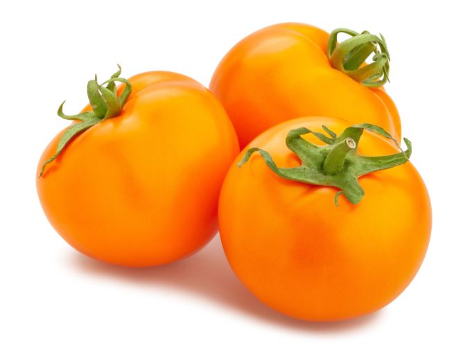 Tomaten Golden