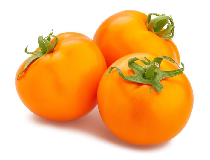 Tomaten Golden