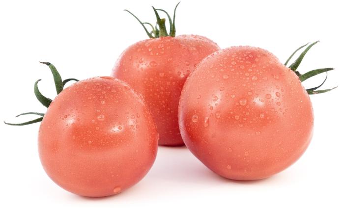 Tomaten Bernerrrosen