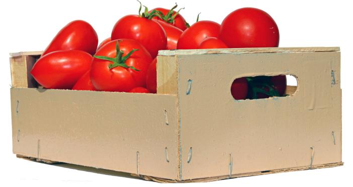 Püreetomaten 5 kg