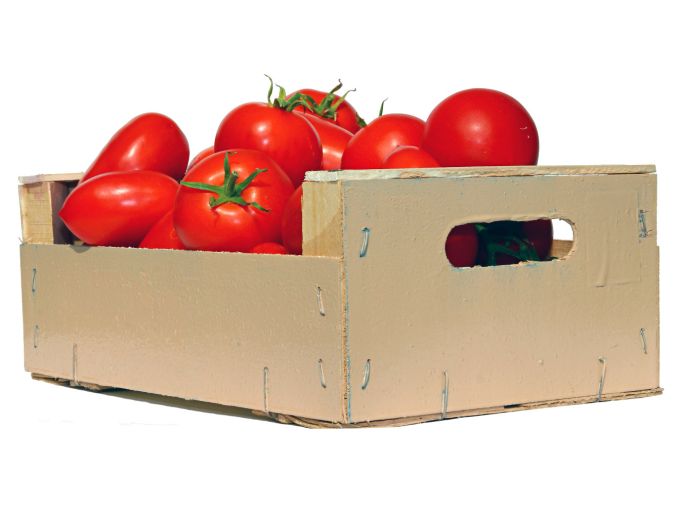 Püreetomaten 5 kg