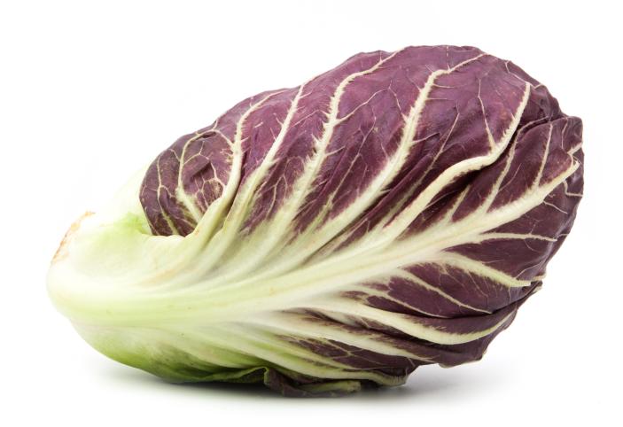 Trevisiano