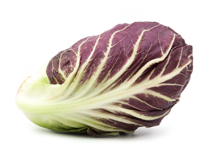 Trevisiano