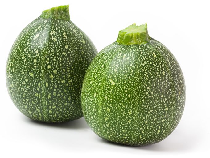 Zucchetti Rondini