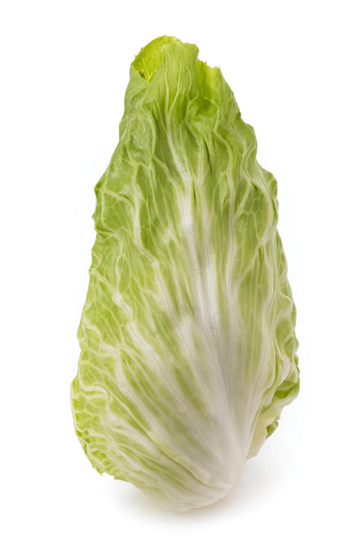 Zuckerhut